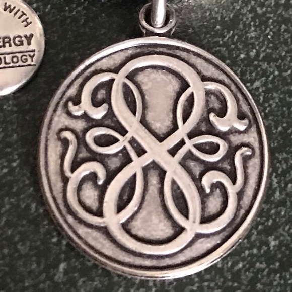 Alex and Ani Silver Expandable Wire Bracelet 2013 - Picture 16 of 16